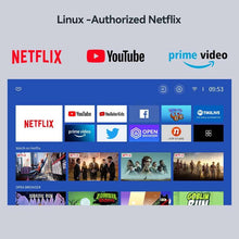 Wanbo TT Projector Netflix Certified 1080P Linux System Mini Projector, 650ANSI 4K Dolby Audio HDR10 Smart Home Theater Projetor